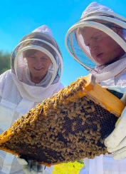 People holding bee hive