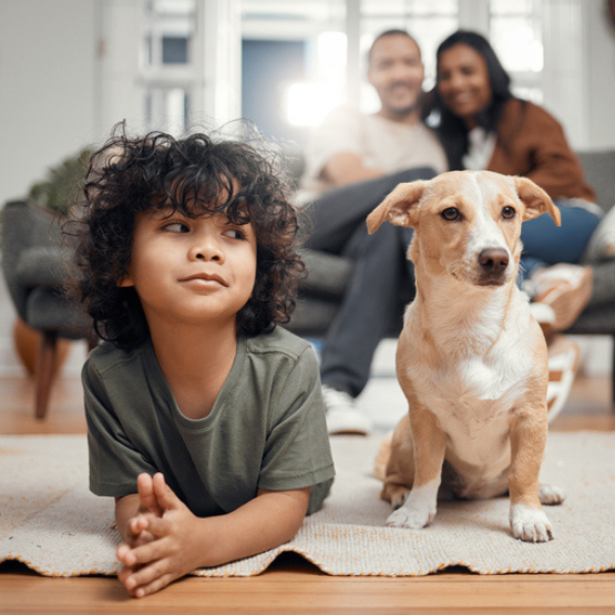 Child and dog resting on the floor with parents on couch in background