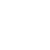 LinkedIn social icon