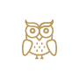 Owl icon